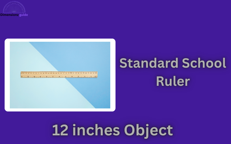 how long is 12 inches