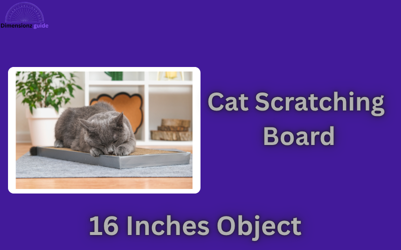 how long is 16 inches