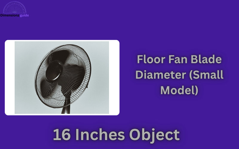 how long is 16 inches