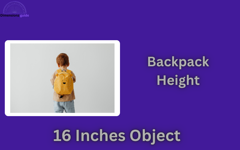 how long is 16 inches