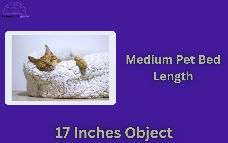 how long is 17 inches