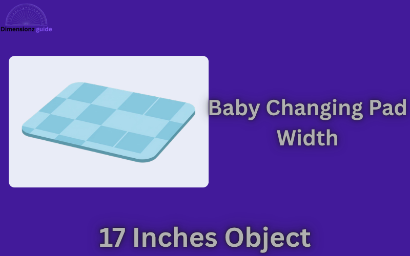 how long is 17 inches