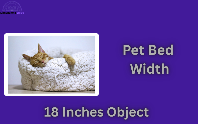 how long is 18 inches