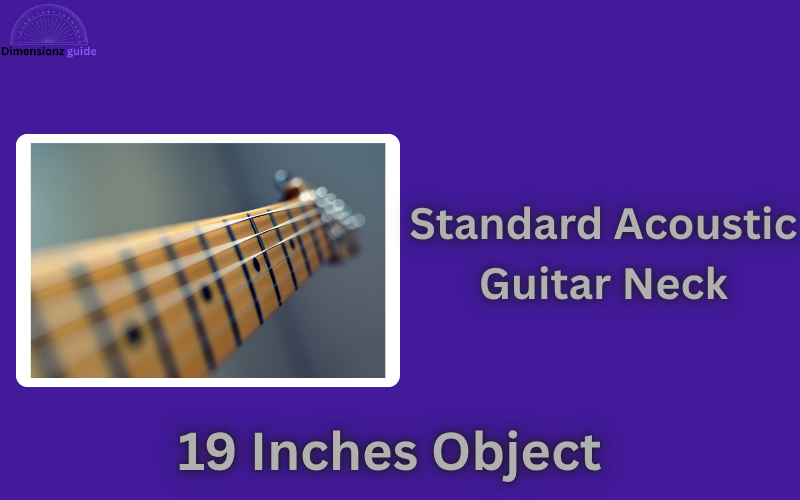 how long is 19 inches