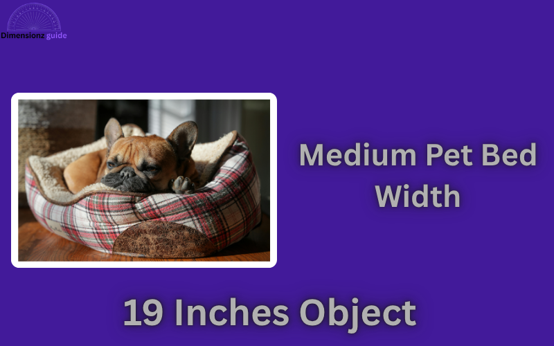 how long is 19 inches