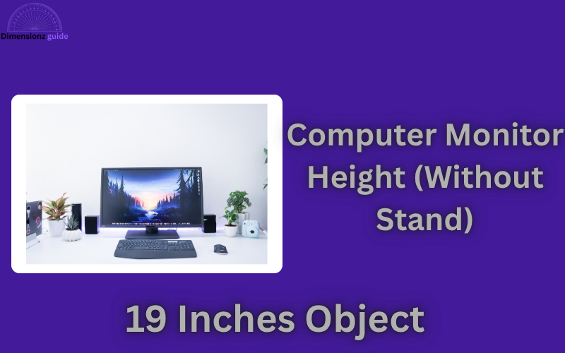 how long is 19 inches