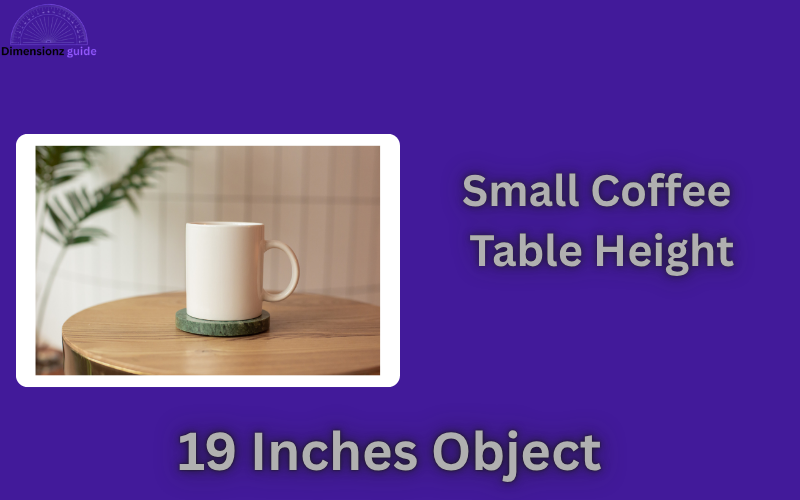 how long is 19 inches