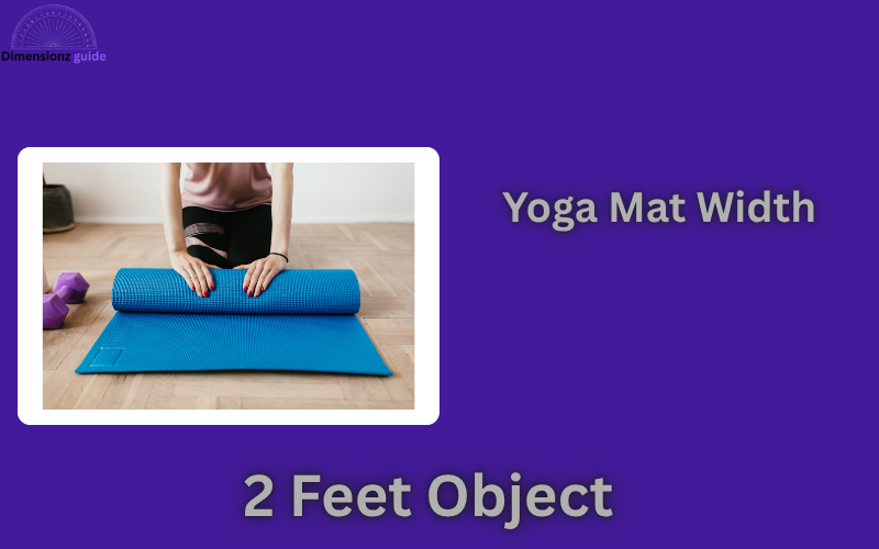 how long is 2 feet