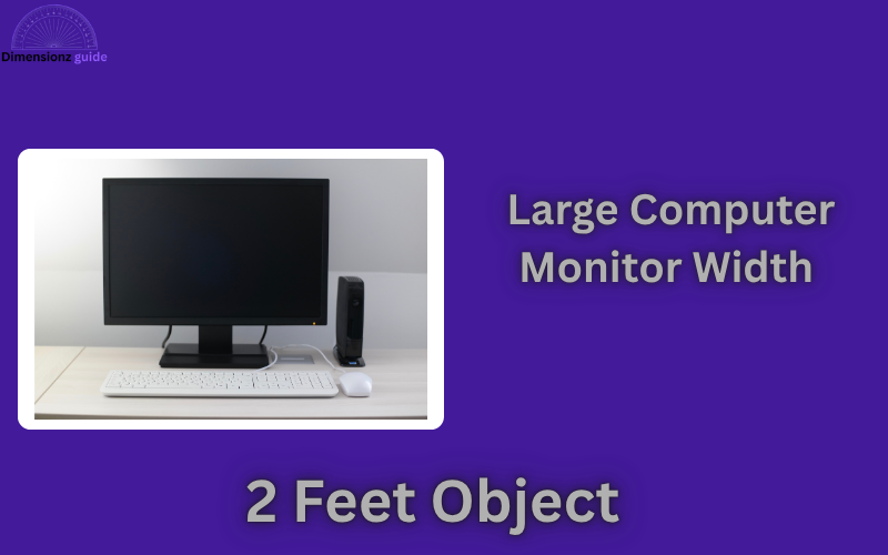how long is 2 feet