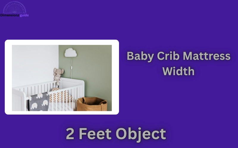 how long is 2 feet