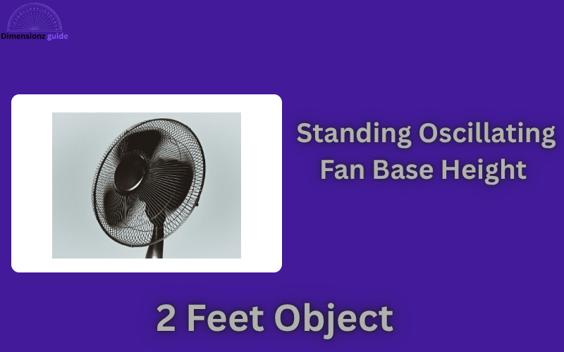 how long is 2 feet