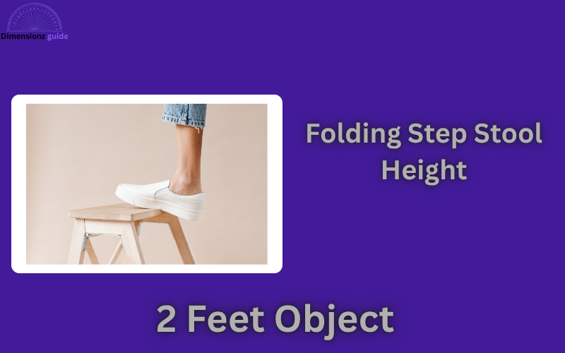 how long is 2 feet