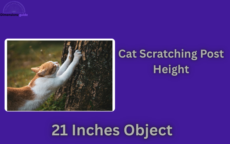 how long is 21 inches