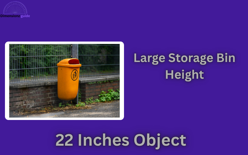 how long is 22 inches