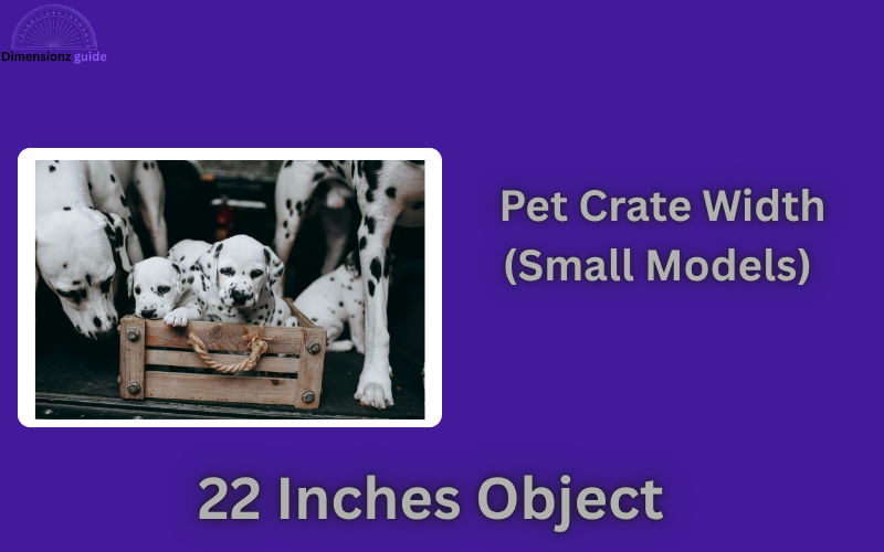 how long is 22 inches