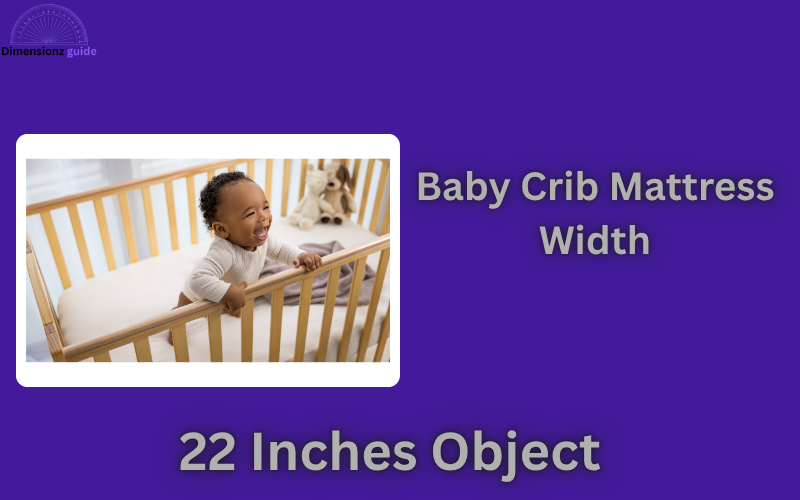 how long is 22 inches