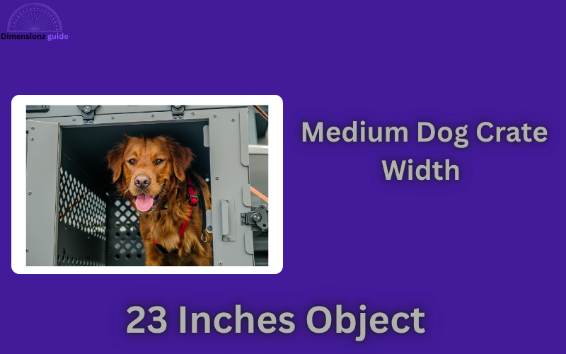 how long is 23 inches