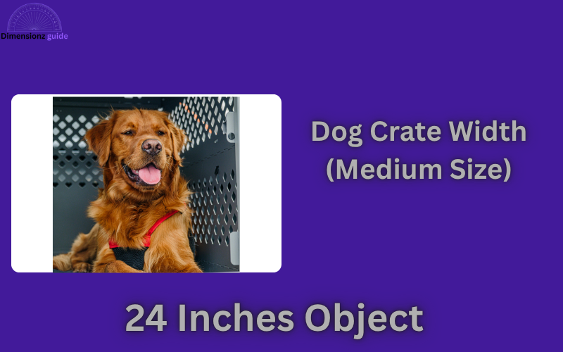 how long is 24 inches