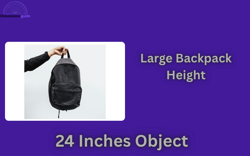 how long is 24 inches
