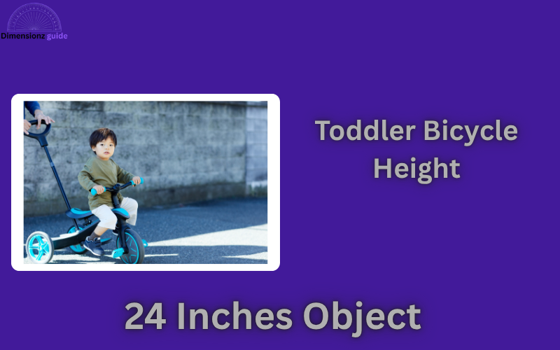 how long is 24 inches