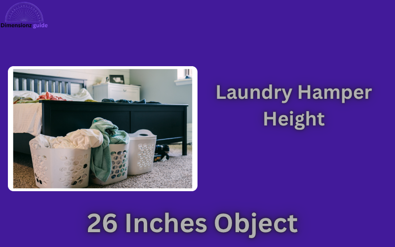 how long is 26 inches