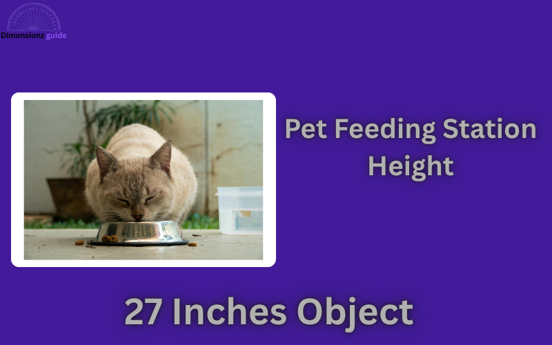 how long is 27 inches
