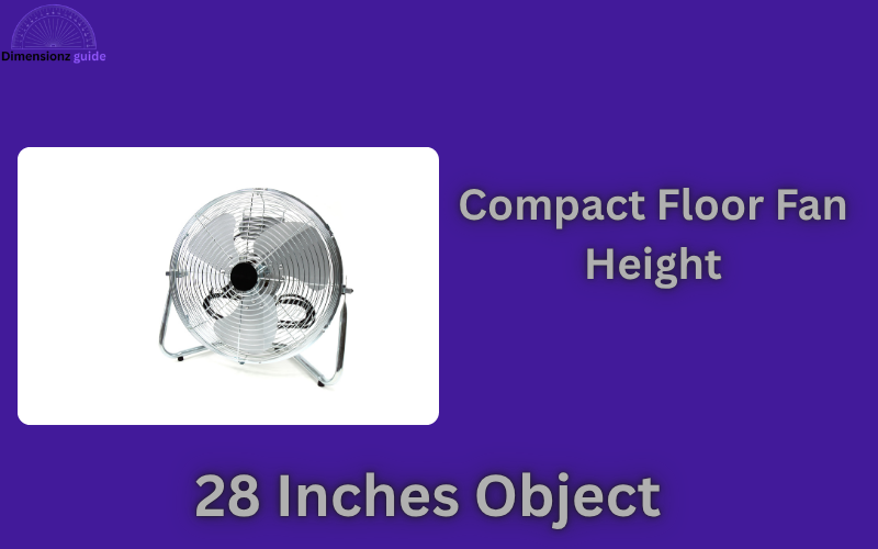 how long is 28 inches