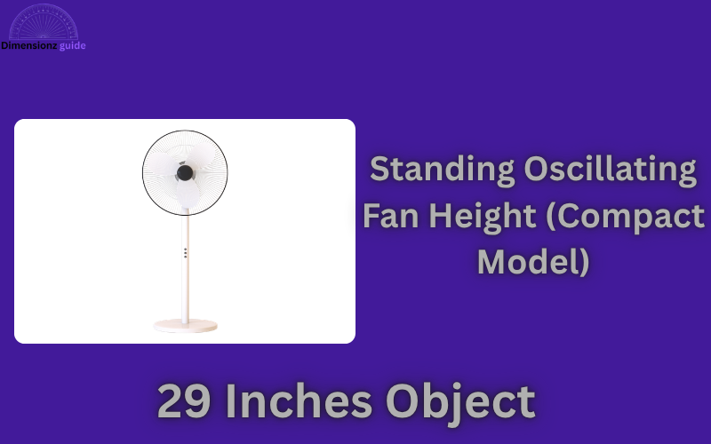how long is 29 inches