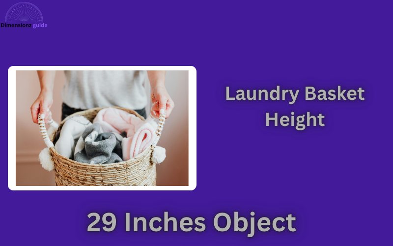 how long is 29 inches