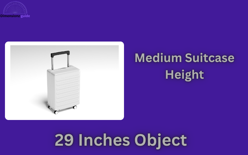 how long is 29 inches
