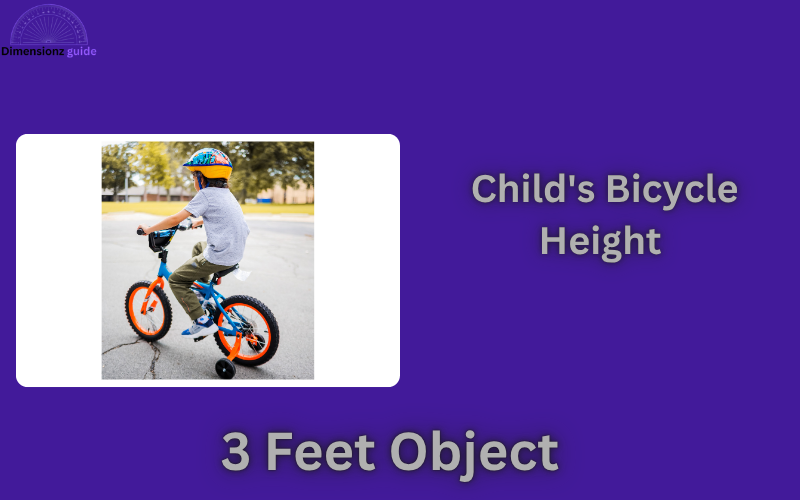 how long is 3 feet