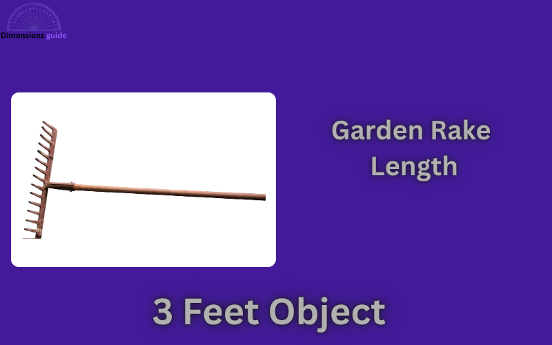 how long is 3 feet