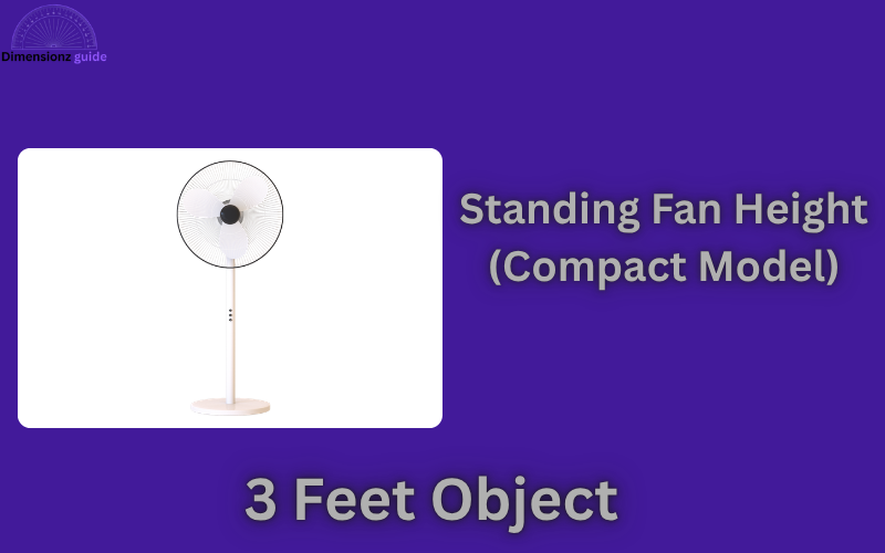 how long is 3 feet