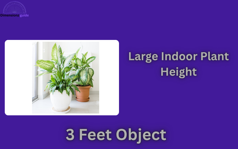 how long is 3 feet