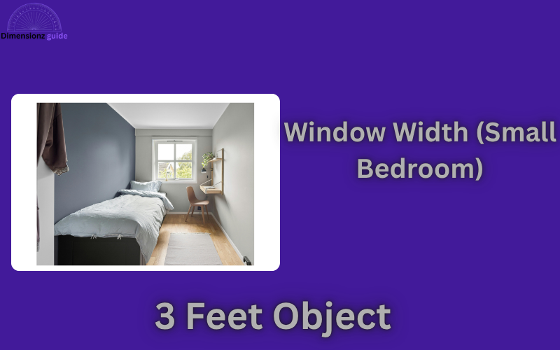 how long is 3 feet