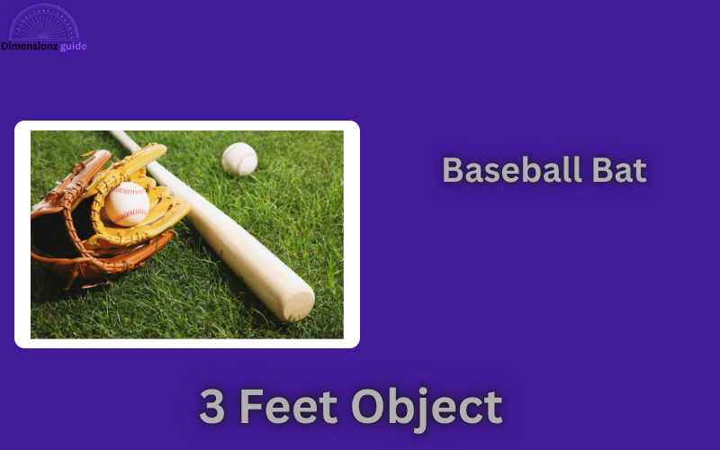 how long is 3 feet