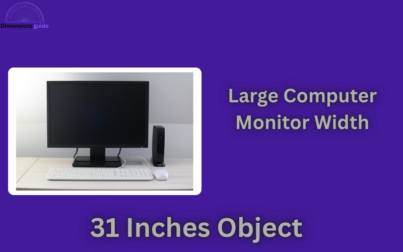 how long is 31 inches
