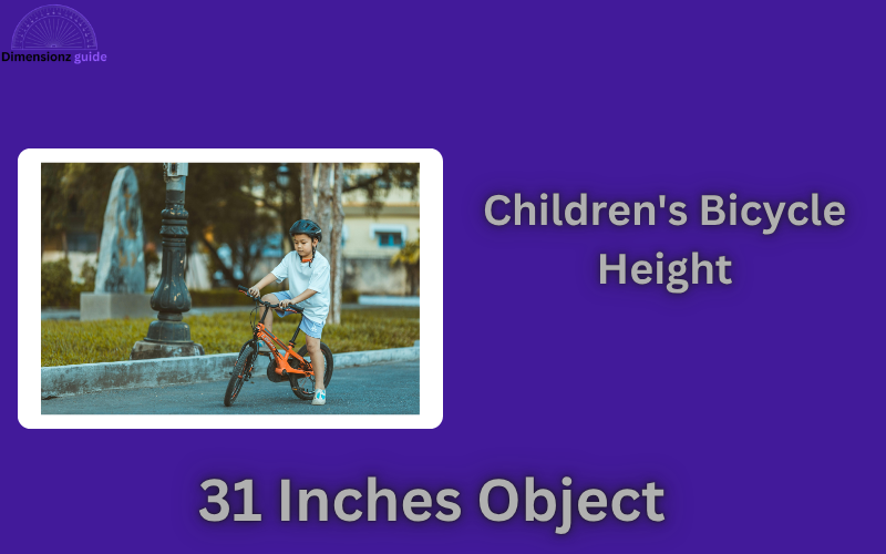 how long is 31 inches