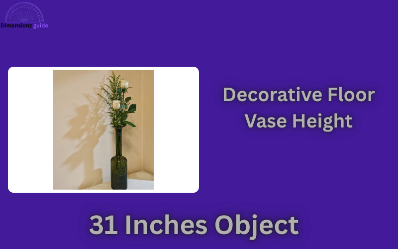 how long is 31 inches