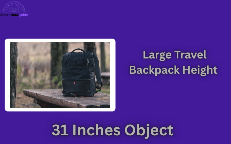 how long is 31 inches