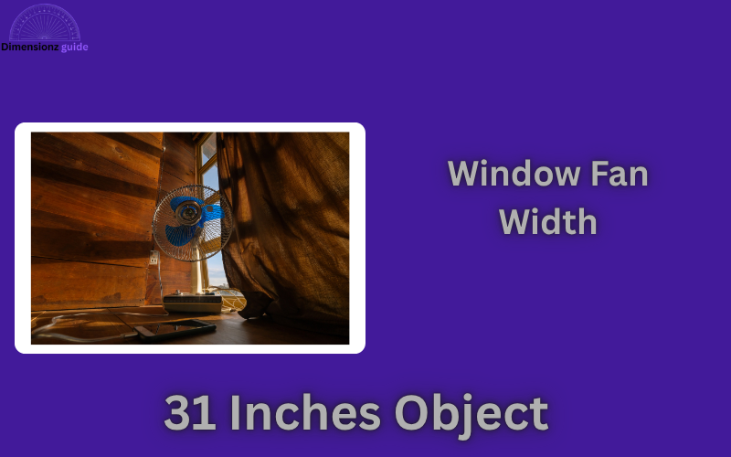 how long is 31 inches