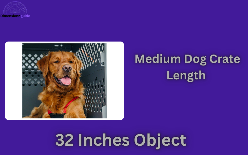 how long is 32 inches
