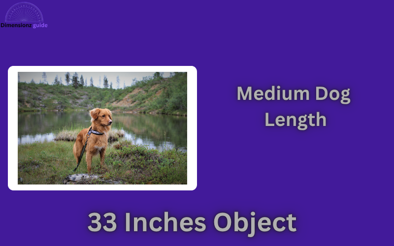 how long is 33 inches