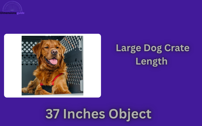 how long is 37 inches