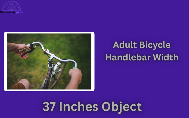 how long is 37 inches