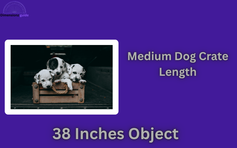 how long is 38 inches
