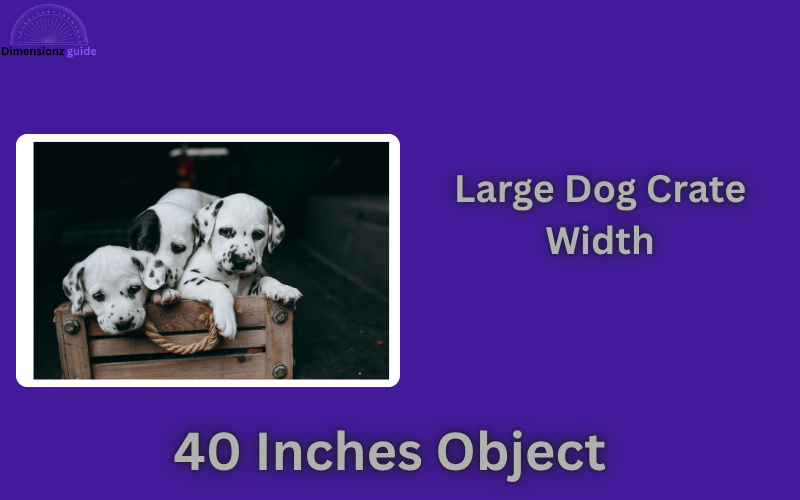 how long is 40 inches