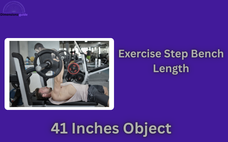 how long is 41 inches