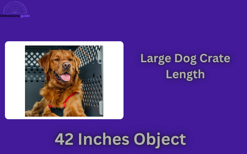 how long is 42 inches