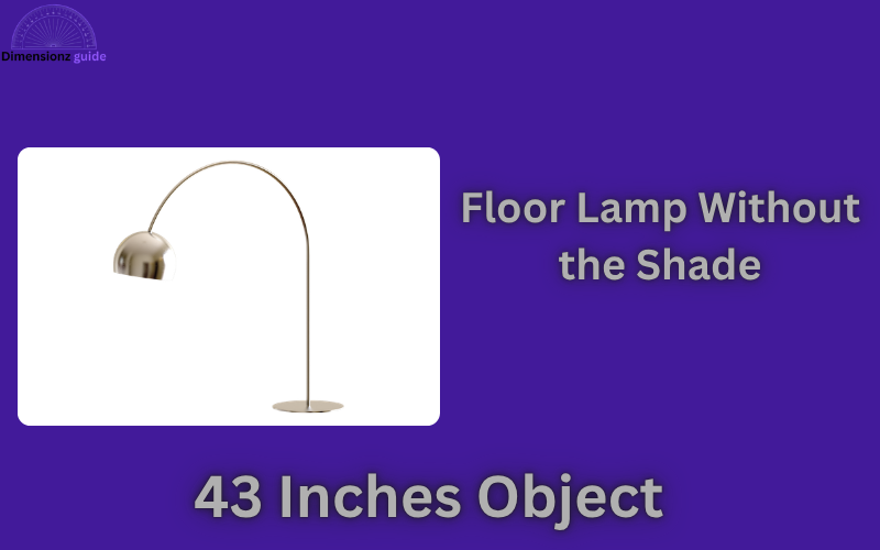 how long is 43 inches